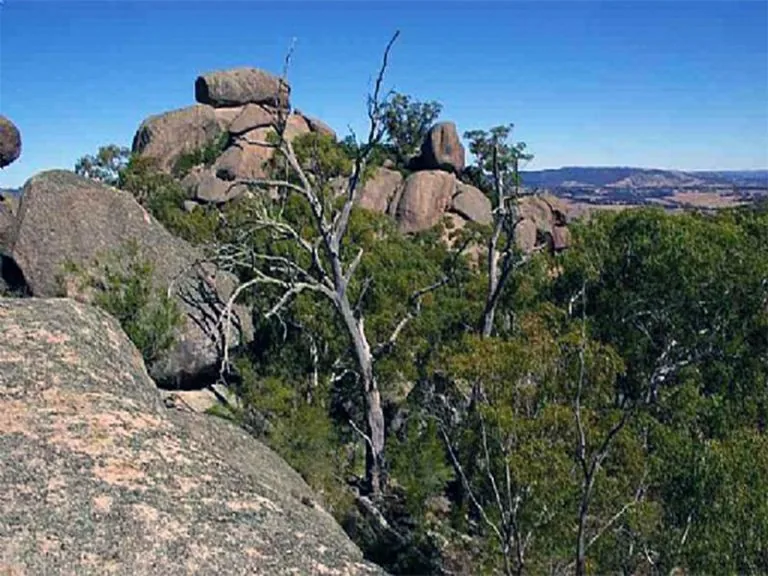 Granite formations at Evans Crown Nature Reserve