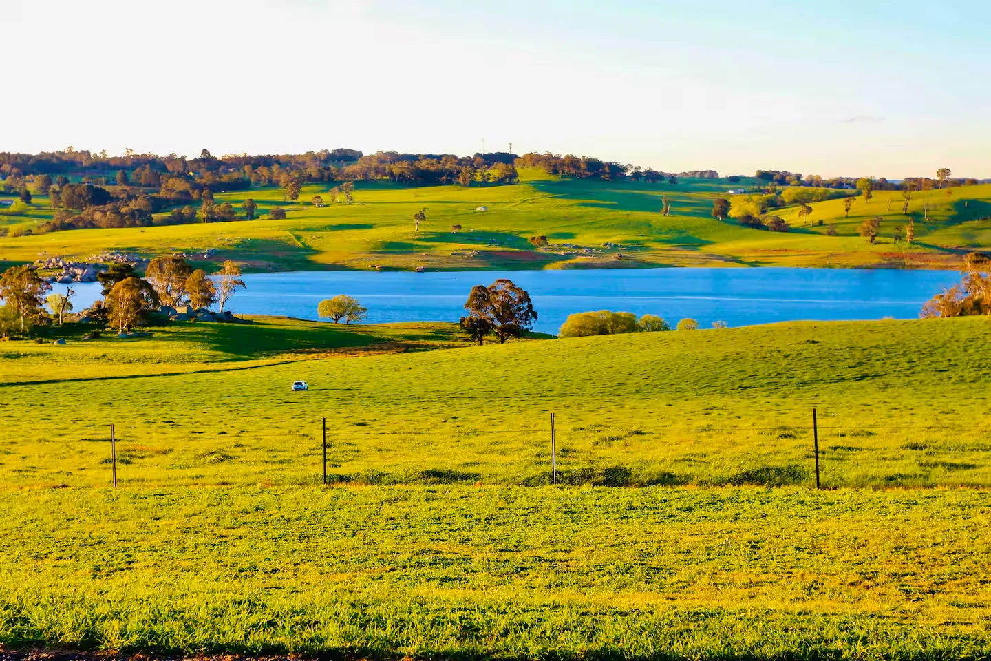 Drive through the Lakeview Ridge paddocks toward Lake Oberon